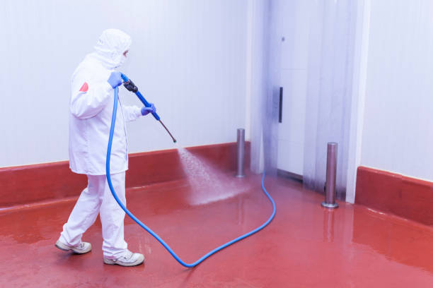 Boat and Dock Cleaning in Fabrica, TX